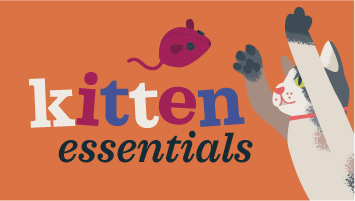 Everything Your Tiny Tiger Needs