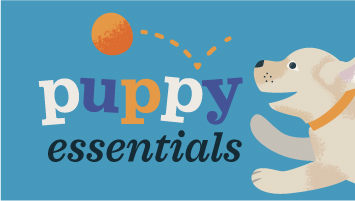 From Wag to Woof, We've Got It Covered