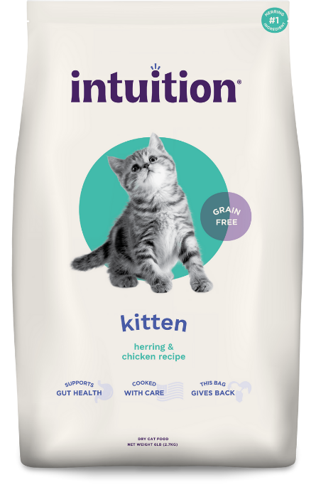A bag of cat food

AI-generated content may be incorrect.