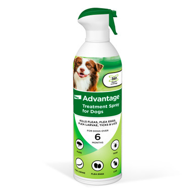Advantage flea treatment 2025 spray for cats