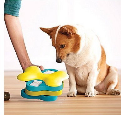 https://cdn11.bigcommerce.com/s-xfu1s3ki5p/products/14050/images/7705/Outward_Hound_Tornado_Puzzle_Game_Dog_Toy89024_3__98006.1635051870.386.513.PNG?c=1