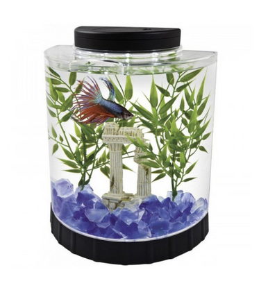 Anchor Hocking Goldfish Bowl - Footed - 1 gal - Pack of 4 – Pet Life