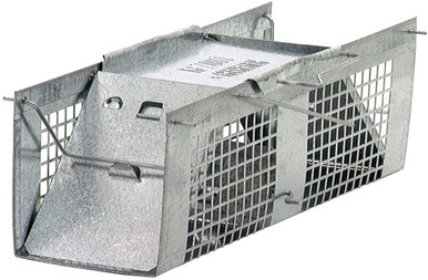 Woodstream Havahart Raccoon Size Humane Live Animal Trap - Feeders Pet  Supply