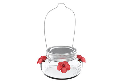 Nature's Way Clear Mason Jar Hummingbird Feeder 8 oz image