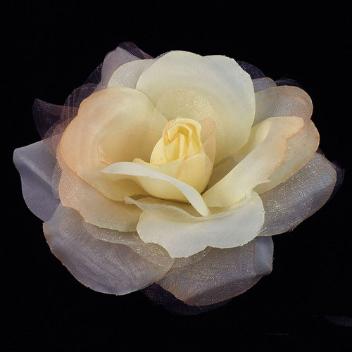 FR162025R-Rusty Yellow Rose Flower
