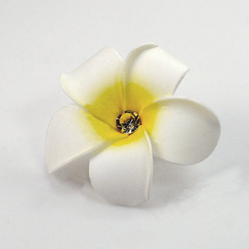 FR181010-Tropical Hair Flower Pin
