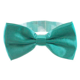 Men's Formal Bow Tie - Green