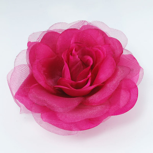 FR162025-Fuchsia  Rose Flower