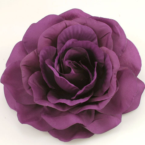 Purple Rose Flower
