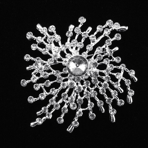 Large Spider Web Brooch-BH5019L
