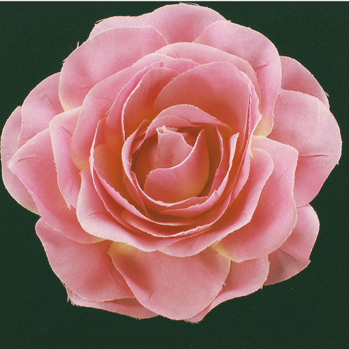 Fabric Flower PIn