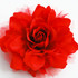 FR107004-Large Fabric Flower Pin