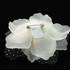 FR107301-fabric flower with white polka dotted tulle