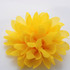 FR192051-Yellow Chiffon Flower