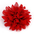 FR192055-Red Chiffon Flower