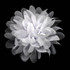 FR192057-White Chiffon Flower