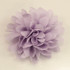 FR192059-Lavender Chiffon Flower