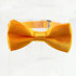 Formal Bow Tie for Boys - Yellow