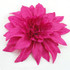 FR101123-Soft Fabric Fuchsia Flower Pin