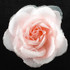 FR991199-Artificial Flower Pin