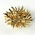 Fashion Brooch-BH5041