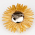 FR192018-Straw Flower
