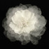 FR142334-Fabric Flower