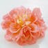 FR176018-Light Orange Fabric Flower