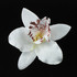 FR192037-Orchid Flower Pin
