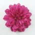 FR10042B-Fuchsia Fabric Flower Pin