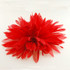 FR193052-Red Chiffon Flower