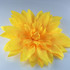 FR101125SP-Yellow Satin Fabric Flower Pin