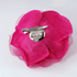 FR162025-Fuchsia  Rose Flower
