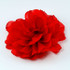 FR106109-Red Wrinkle Flower