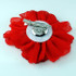 FR106109-Red Wrinkle Flower