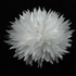 FR991205-White Fashion Fabric Flower Pin