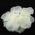 Fabric Flower Brooch