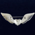 wings brooch