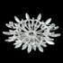 Fashion Pearl Brooch