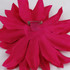 Flower pin for women