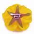 FR106105-Yellow Rose Flower Pin