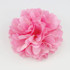 Pink Flower Pin