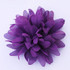 Purple satin flower