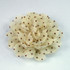 polka dot flower pin