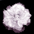Silver fabric flower