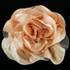 Fabric Flower