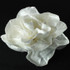 Fabric Flower