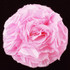 Fabric Flower