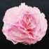 FR138683-Artificial Flower Pin