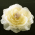 FR168027-Fabric Flower Brooch